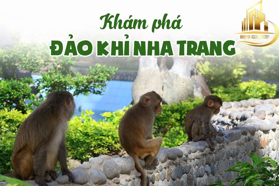 Khu Du Lịch Đảo Khỉ Nha Trang – Điểm Đến Độc Đáo Không Thể Bỏ Lỡ